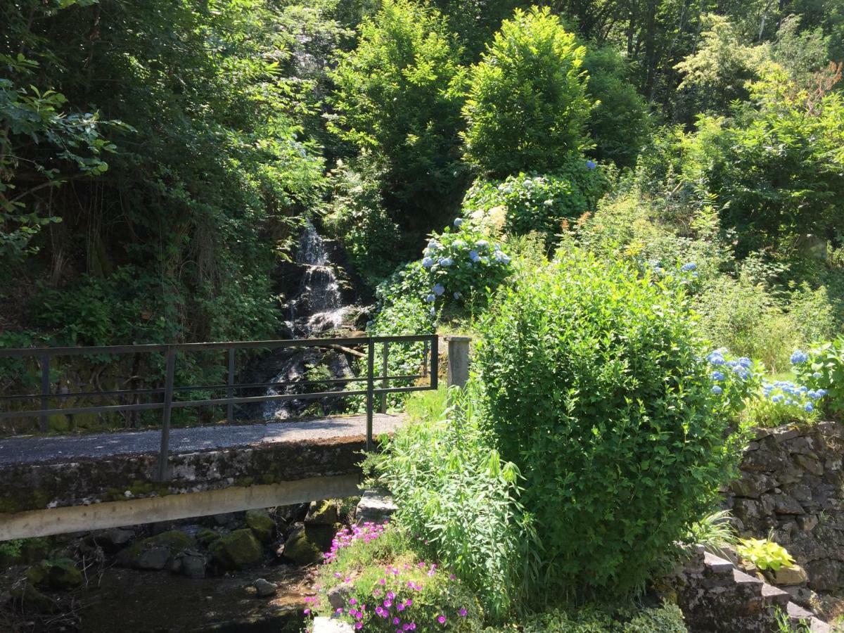 Casa Ortensia Διαμέρισμα Gambarogno Εξωτερικό φωτογραφία