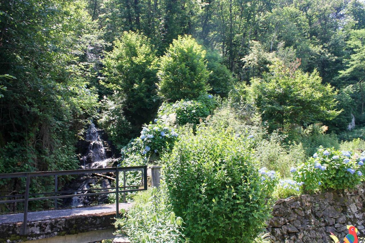 Casa Ortensia Διαμέρισμα Gambarogno Εξωτερικό φωτογραφία